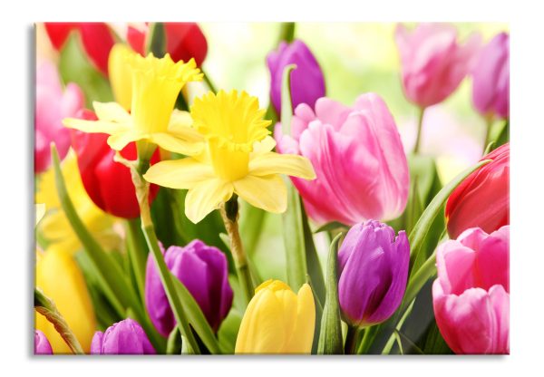 Osterglocken und Tulpen, Glasbild Im Angebot