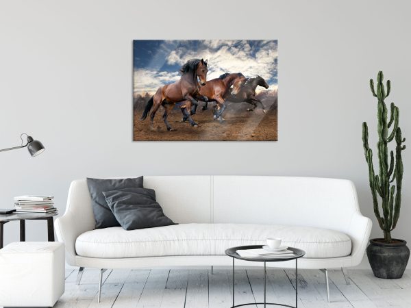 Wilde freie Pferde, Glasbild Verkauf – Bild 2