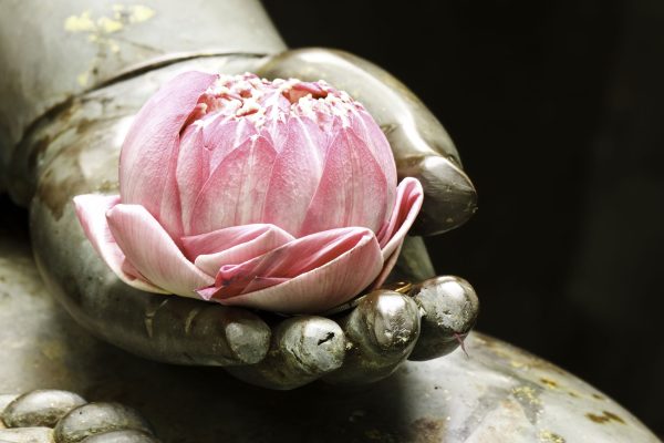 Lotus auf der Hand eines Buddhas, Glasbild Schn?ppchen – Bild 5
